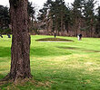 Ladybank Golf Club