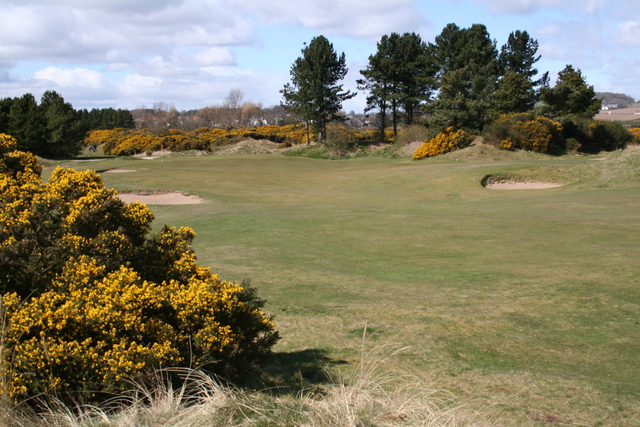 Medal Course at Monifieth Golf Links - hole 13