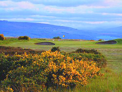Royal Dornoch Golf Club - Carnegie Shield