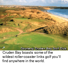 Cruden Bay View