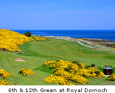6th and 12th green at Royal Dornoch