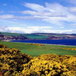 Fortrose & Rosemarkie GC: #1