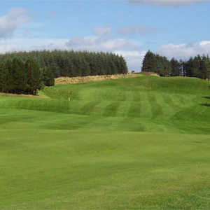 Eastwood GC: #14