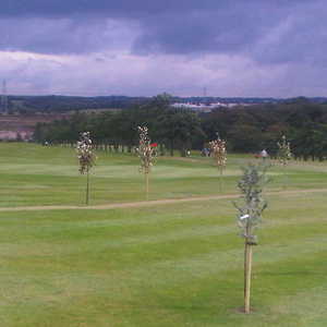 Mount Ellen GC: View from #18