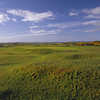 Royal Dornoch: #16
