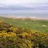 Murcar: View from the 15th tee