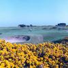 Murcar Links Golf Club - Strabathie Course