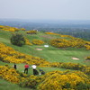 Swanston Golf Club - 8th Hole